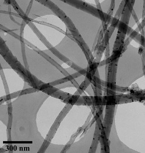 TEM xylene TEM xylene