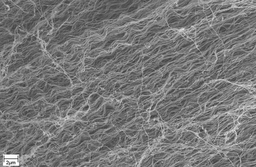 SEM image of the carbon nanotubes SEM image of the carbon nanotubes
